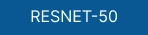 ResNet-50 logo