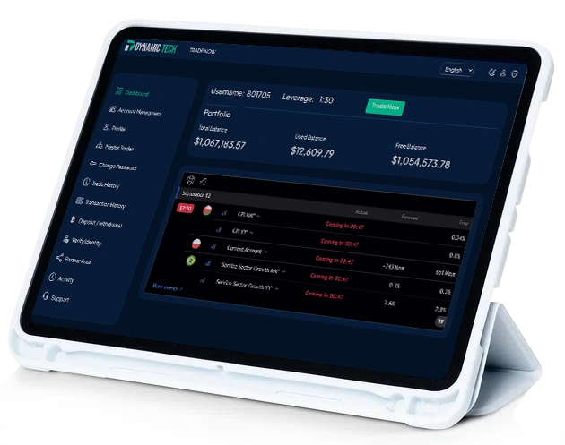 Summary of DynamicTech platform Image