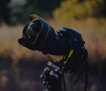 Professional Photography services icon