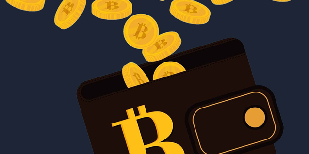 Multi Cryptocurrency Wallet Development