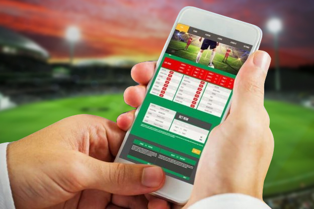 Fantasy Sports App & Website like dream 11 & MY Team11