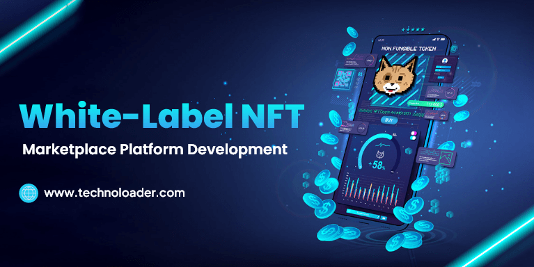 White-Label NFT Marketplace Platform Development services company