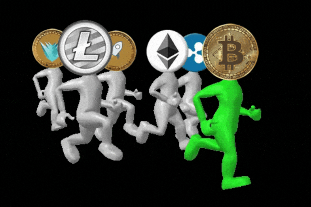 multiple cryptocurrencies