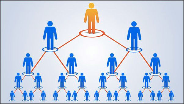 binary mlm plan software