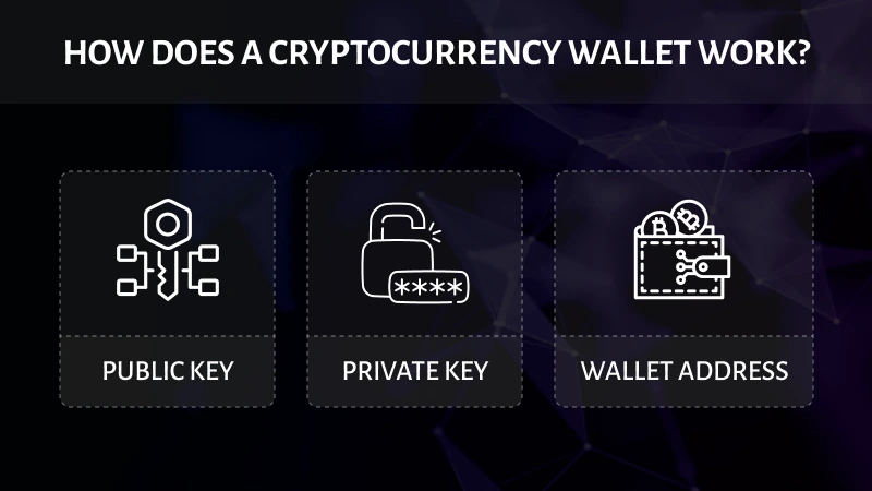 How Does a Cryptocurrency Wallet Work