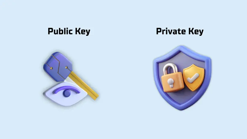 Private Key vs Public Key