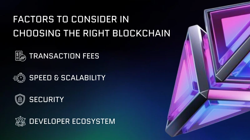 Factors to Consider in Choosing the Right Blockchain