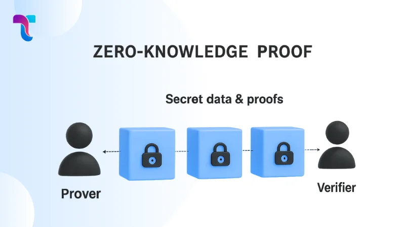 Zero-Knowledge Proof in Blockchain