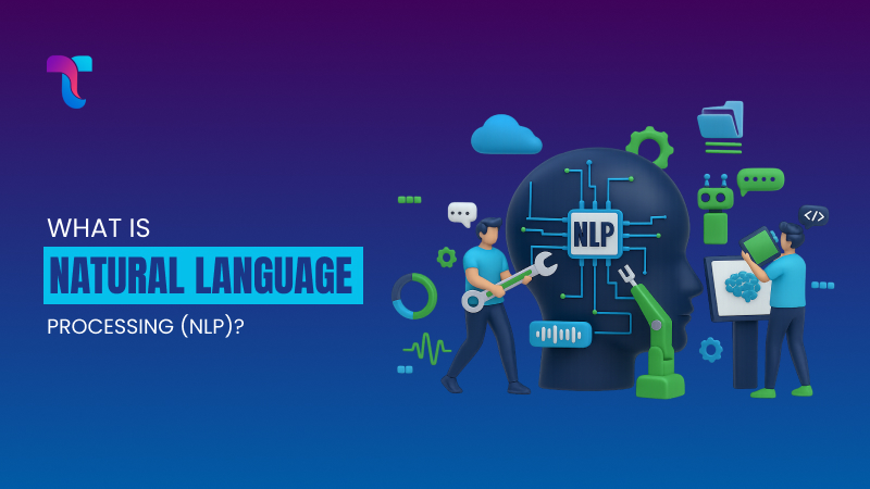 Natural Language Processing (NLP)