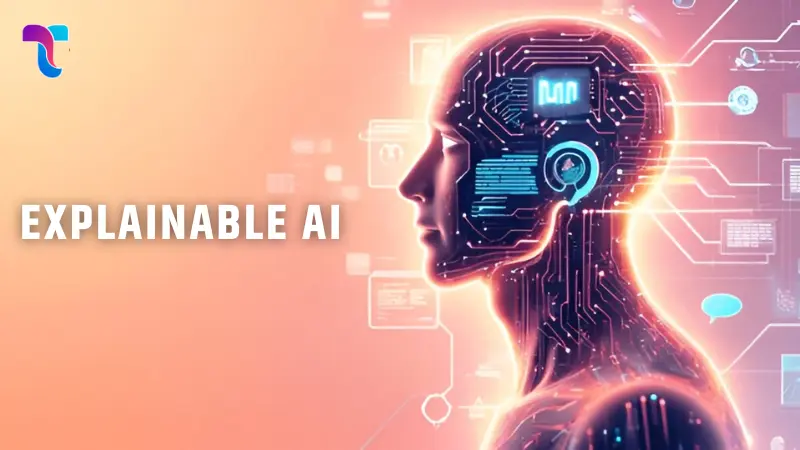 What is Explainable AI (XAI)