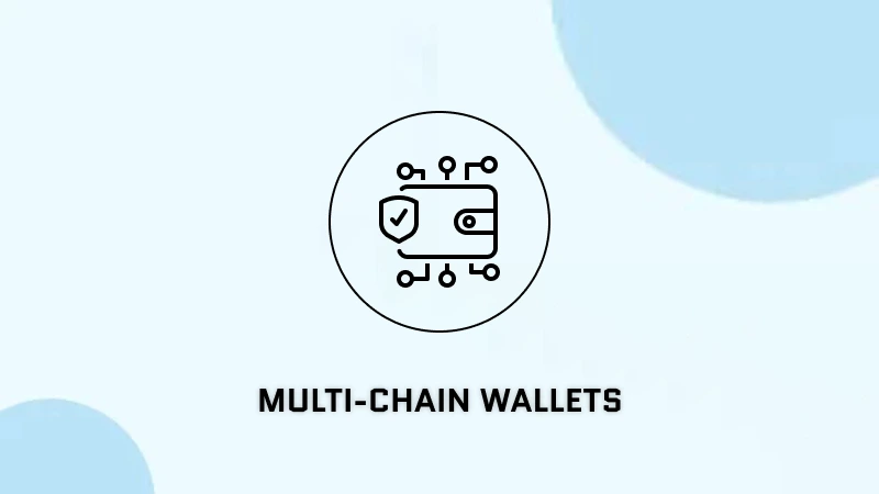 Multi-Chain Wallets