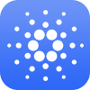 Cardano Blockchain