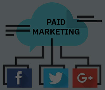 Paid Marketing