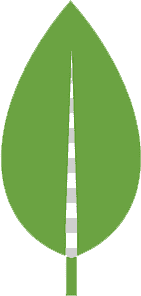MongoDB