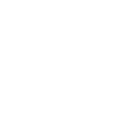 Phase 6